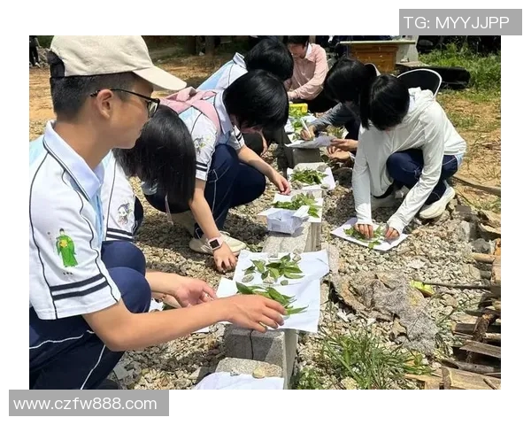 南京网球队的阵地战革新探索与实践新篇章
